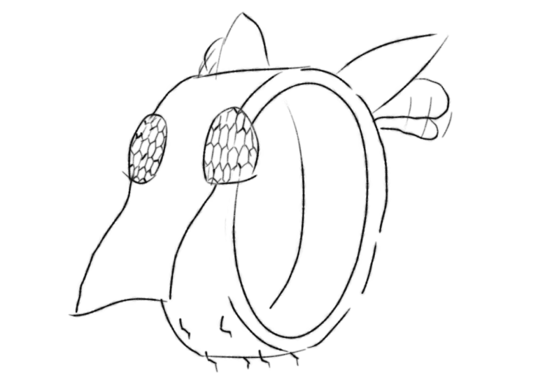 Object merge result: Painter's fly