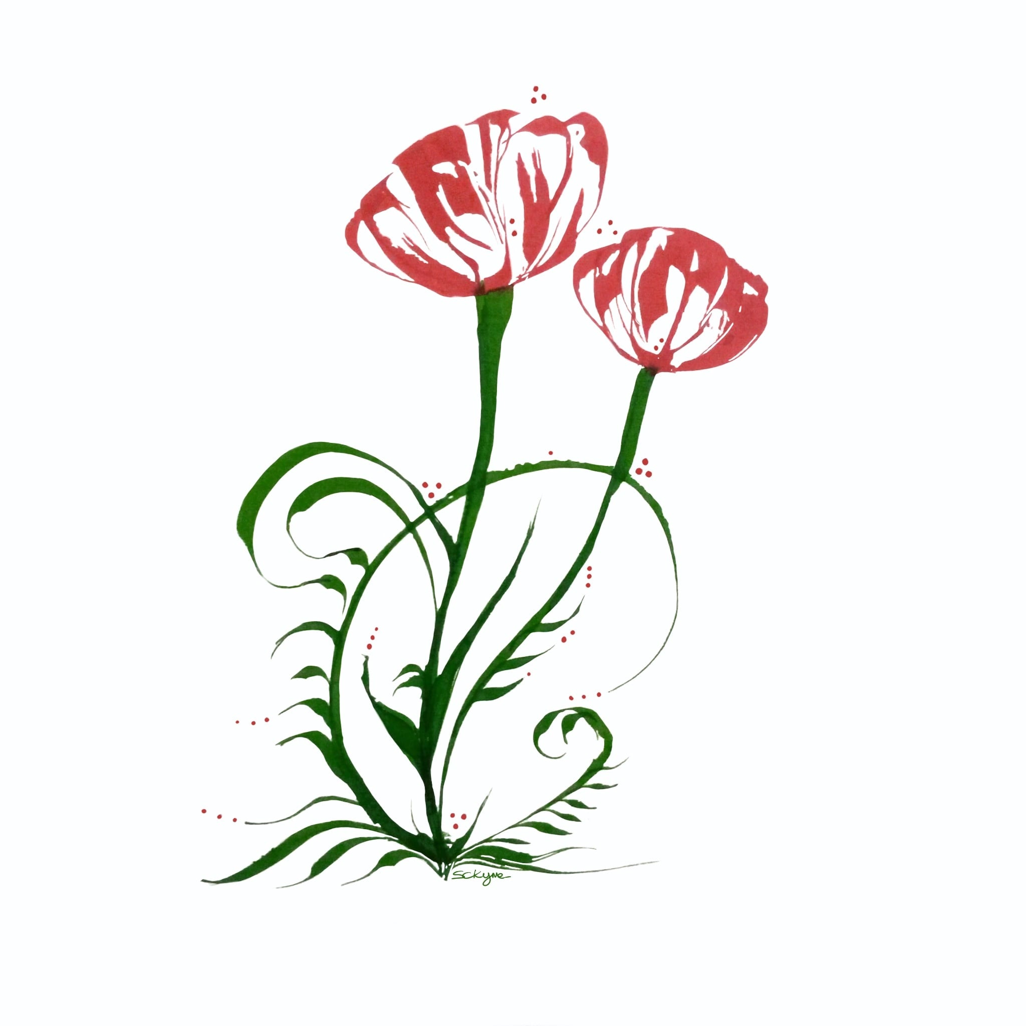 Poppy Flower
