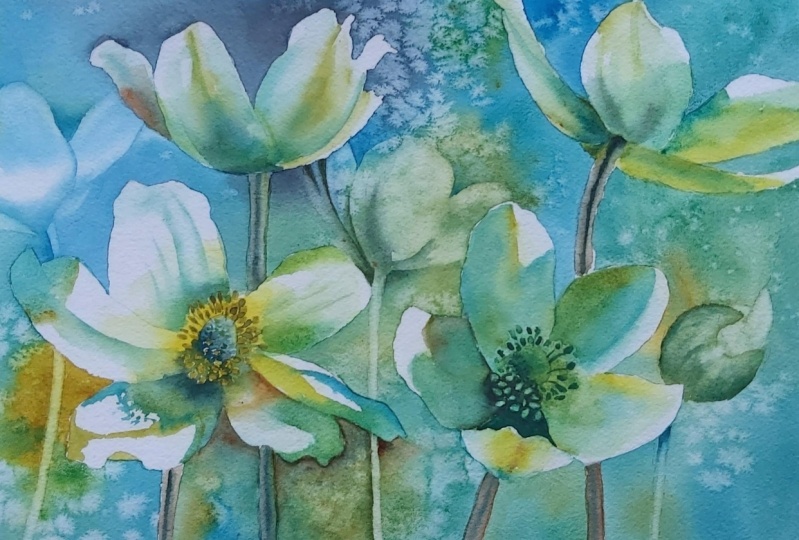Anemones