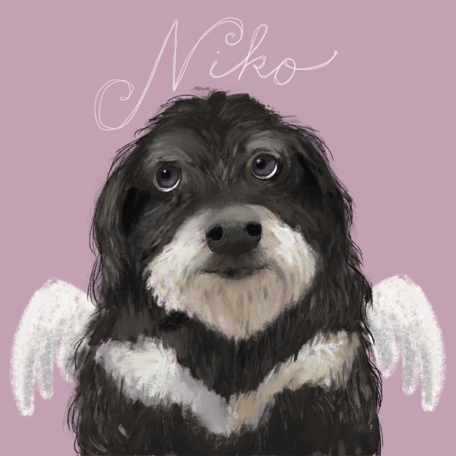 Niko-Pet portrait - student project