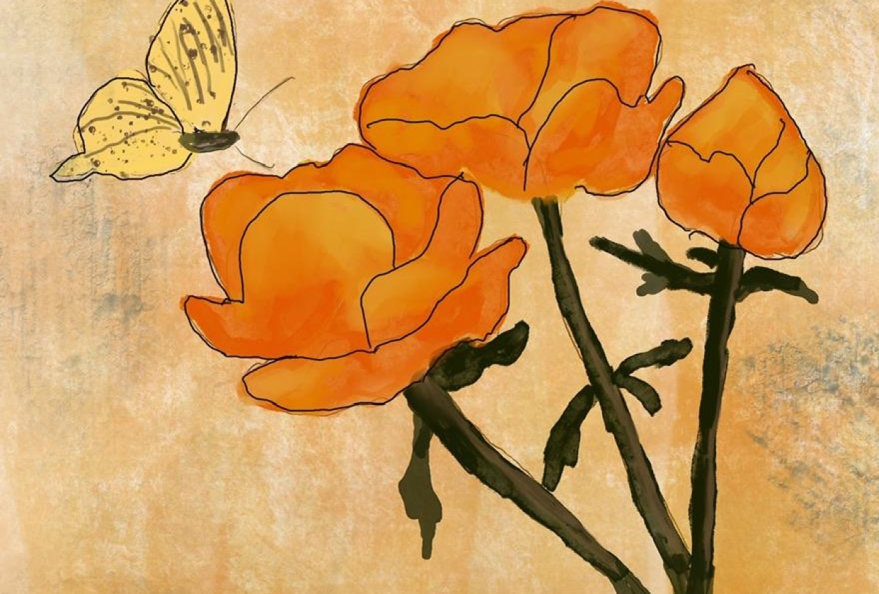 Butterfly in procreate - student project