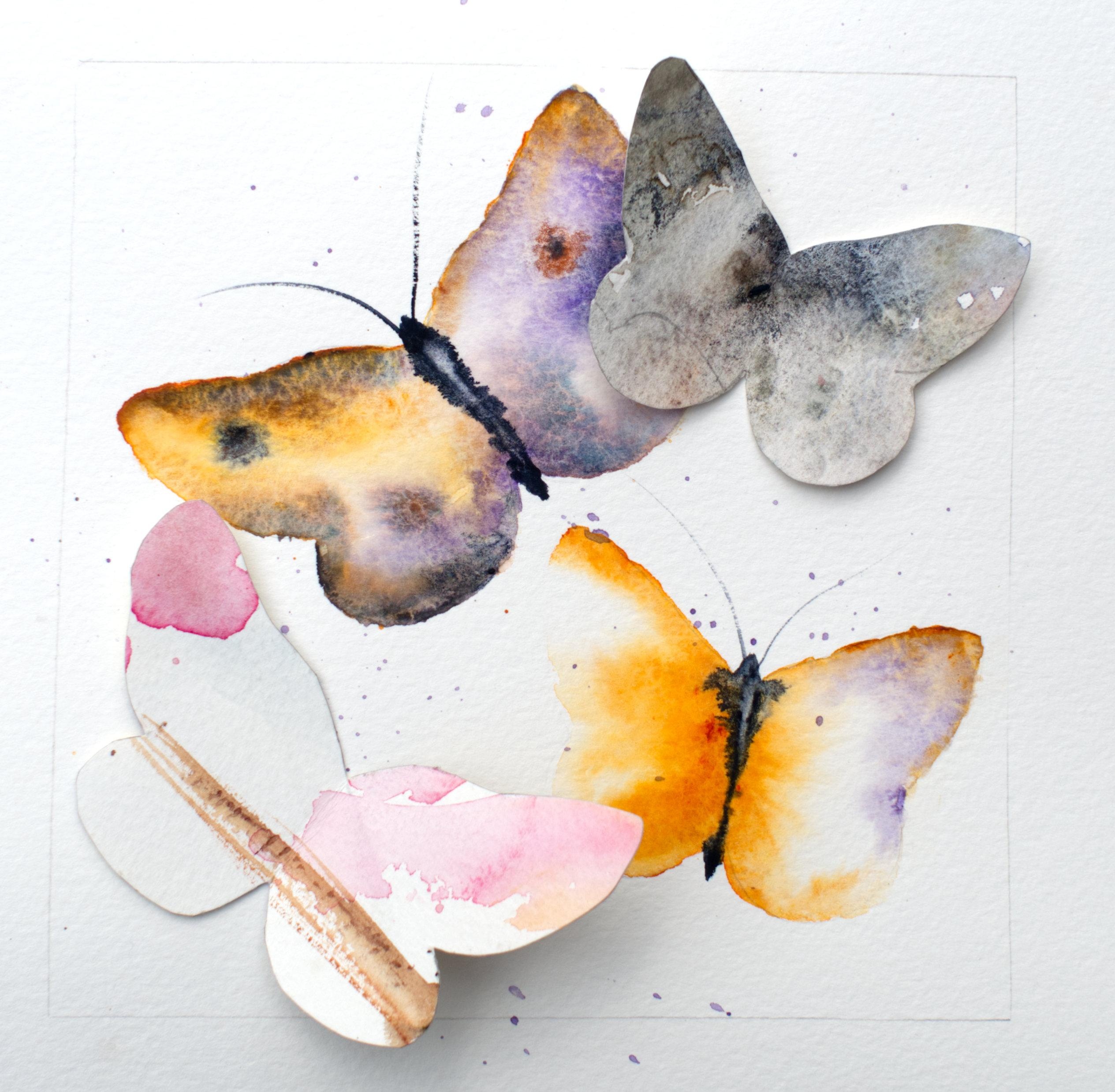 Butterflies