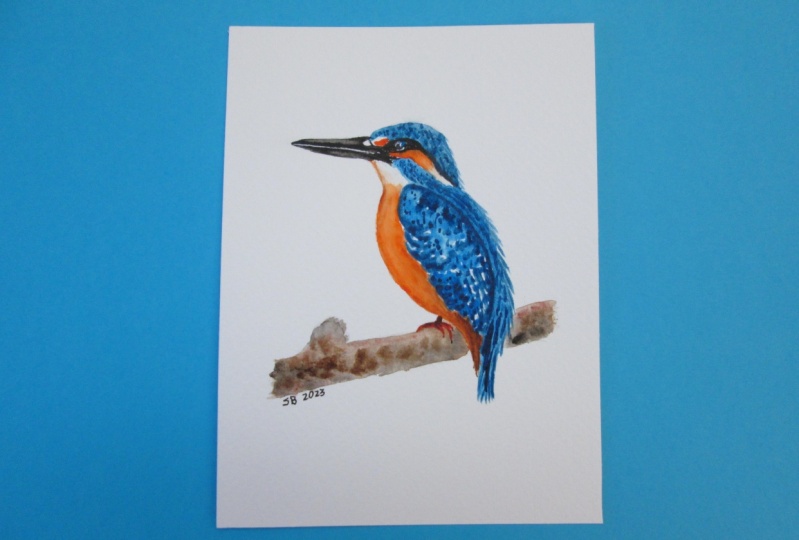 Kingfisher