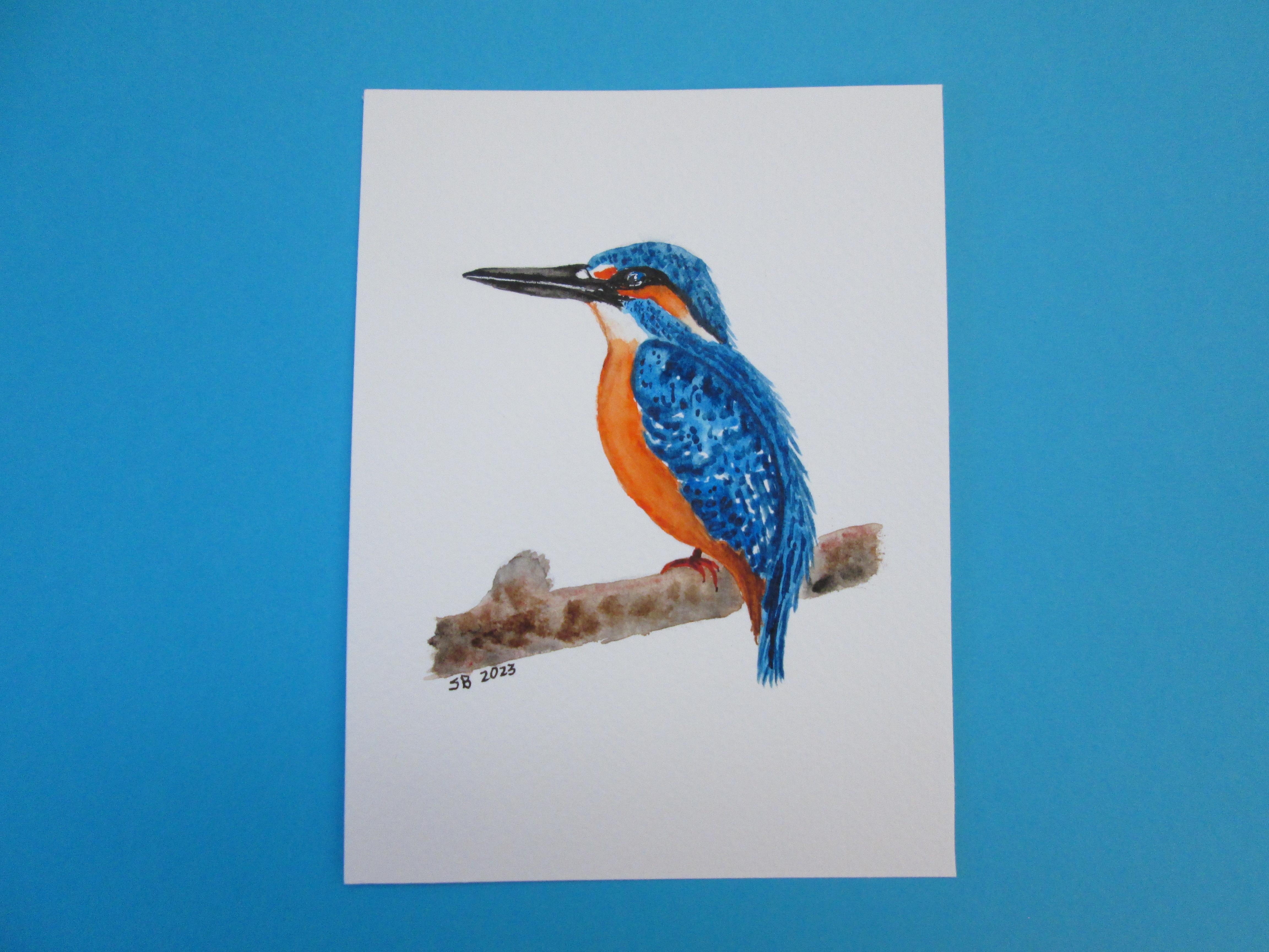Kingfisher - student project