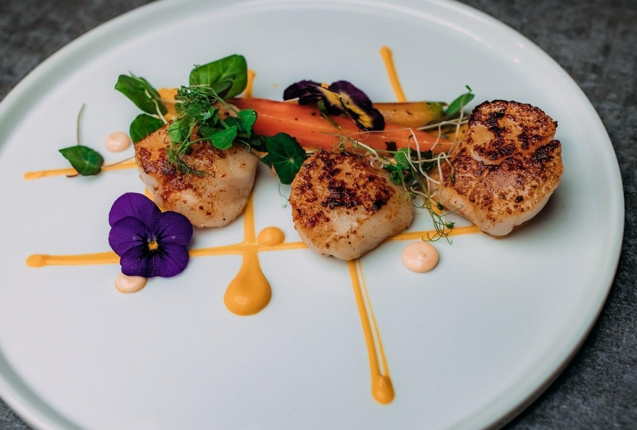 scallops - student project