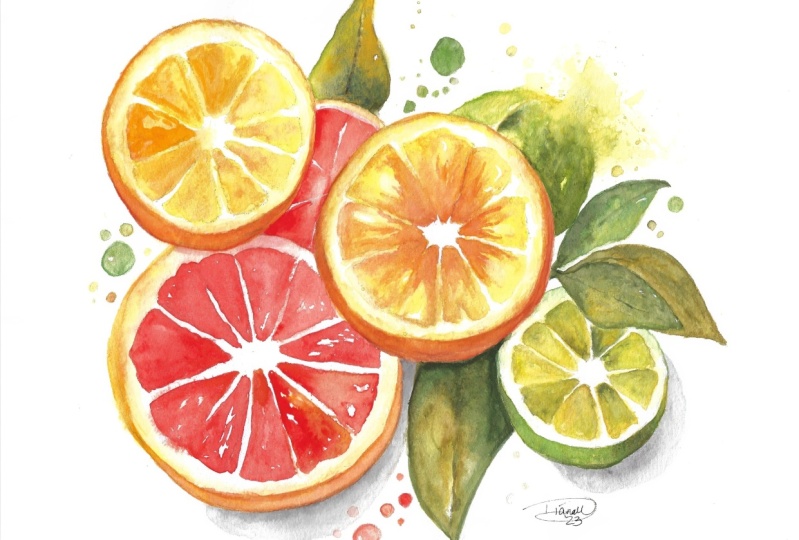 Citrus Fruits