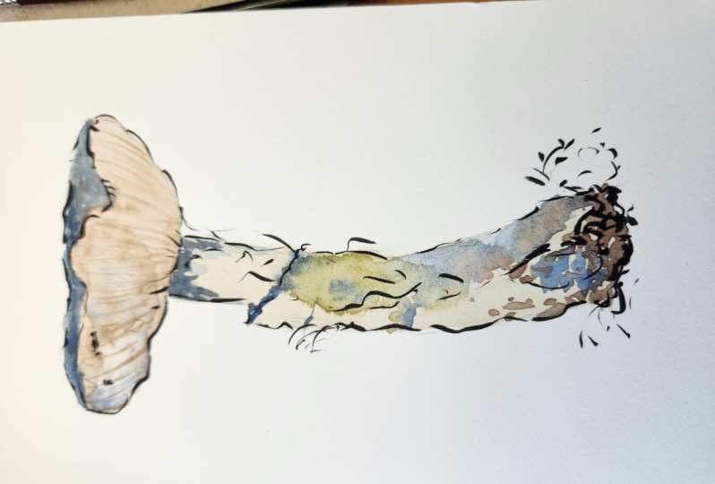 Mushroom with Watercolor and Brush Pen