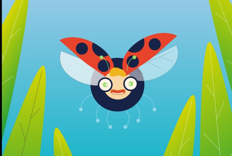 Illustration Ladybird