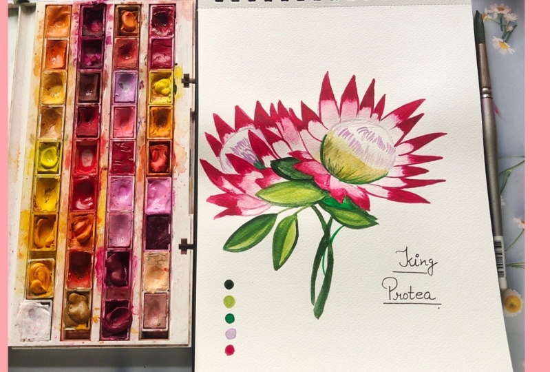 King protea
