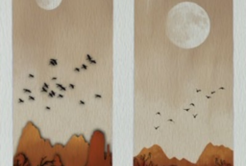 Landscapes