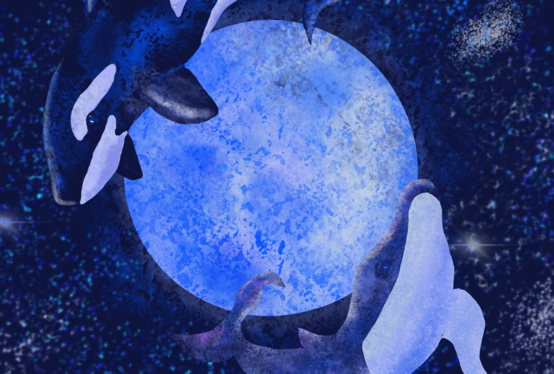 Flying Whales