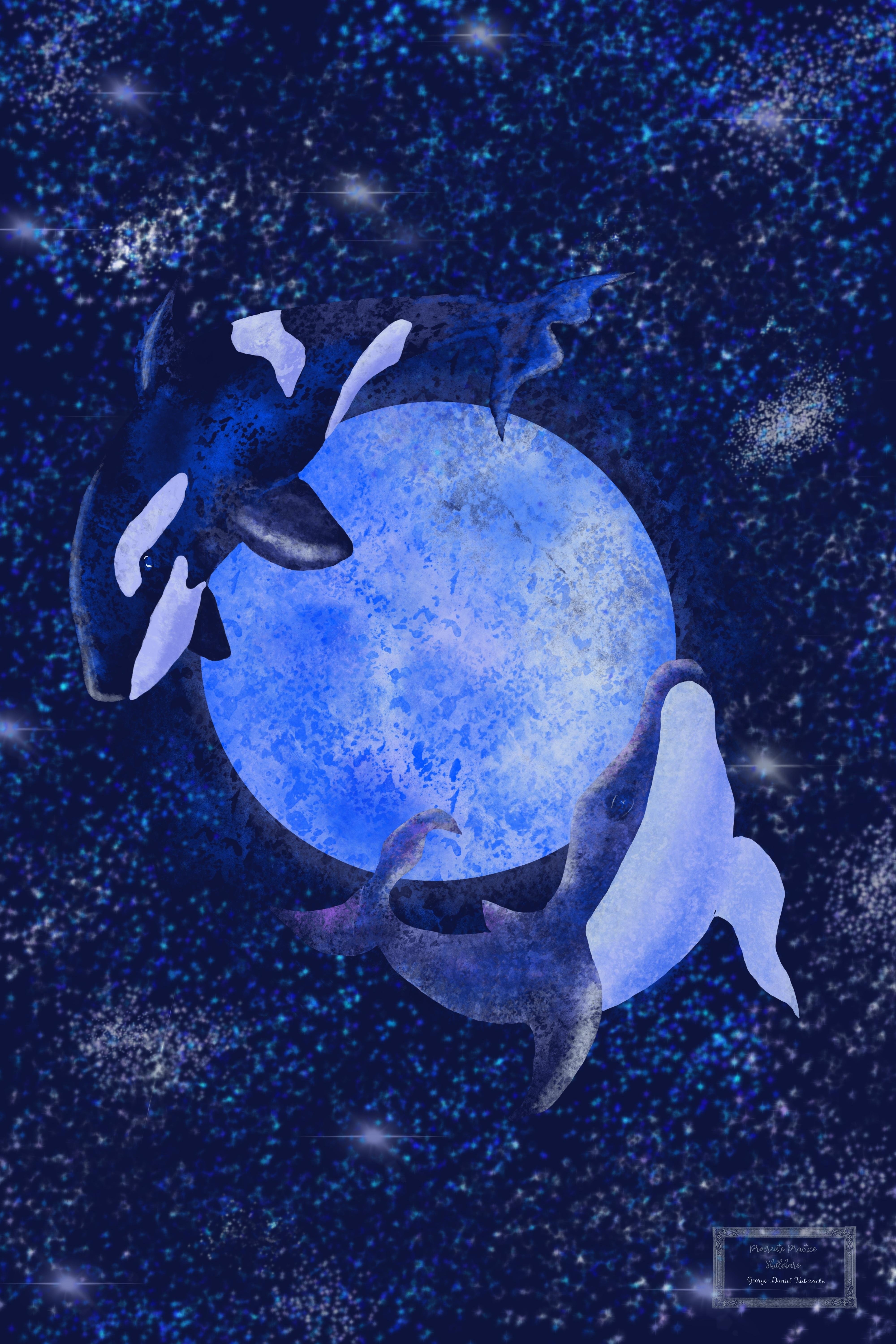 Flying Whales - student project
