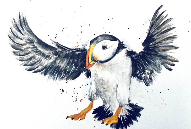 Flying puffin