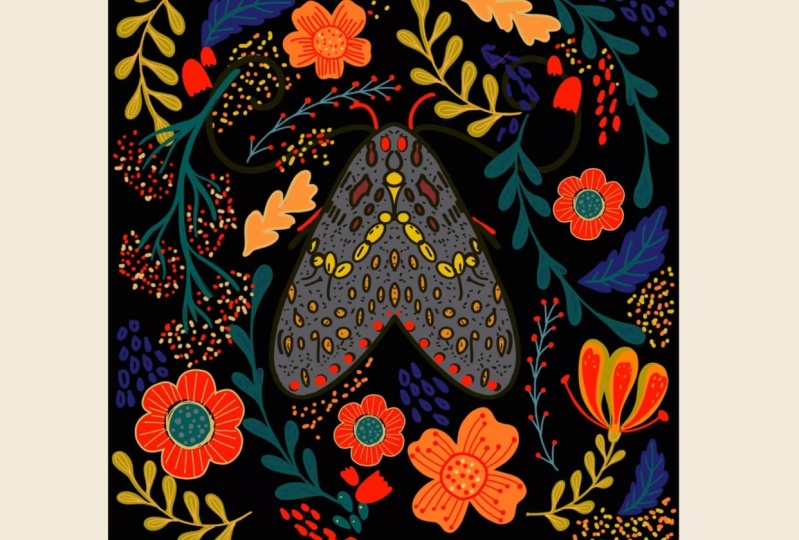 Moth