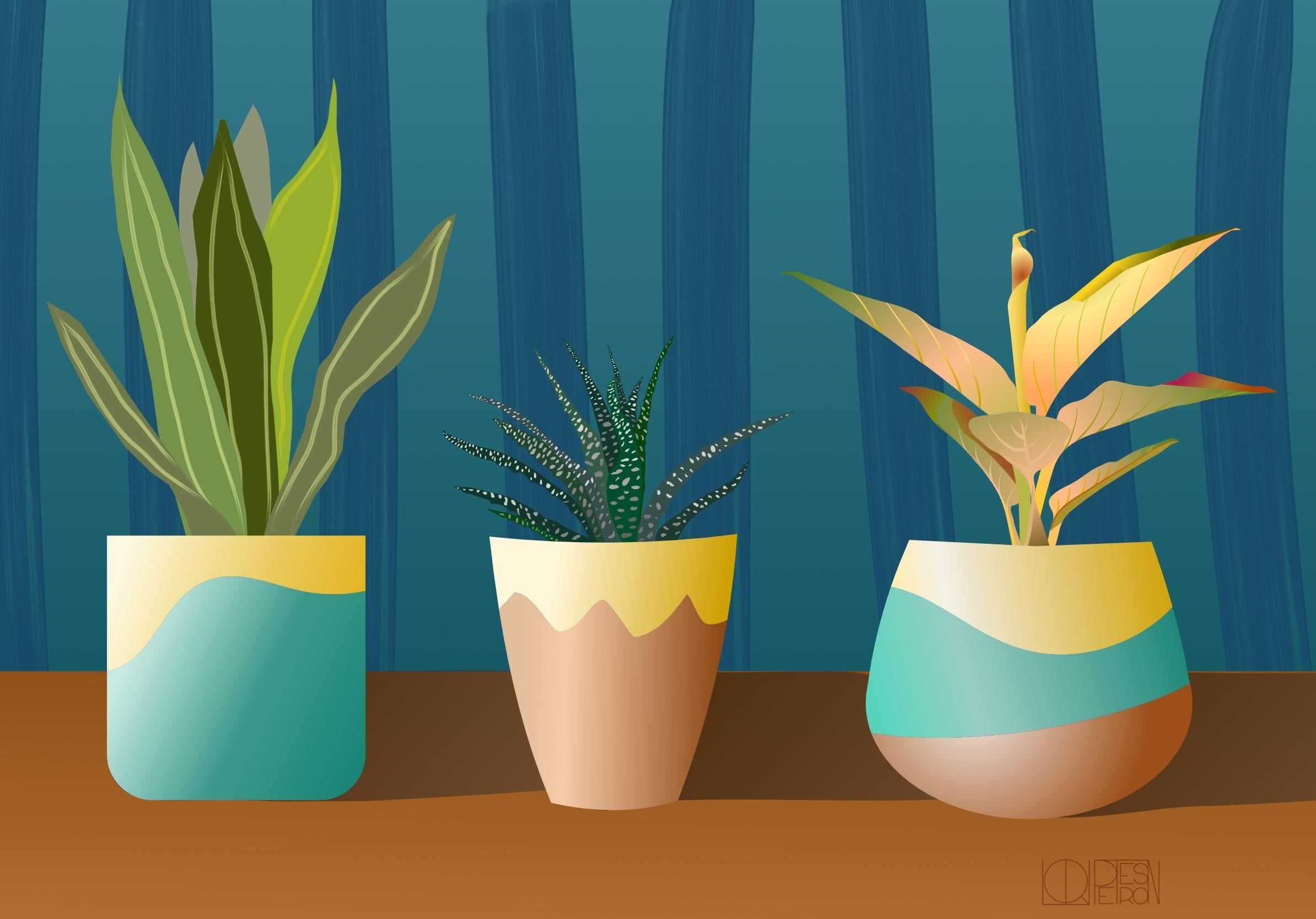 more-projects-from-class-img