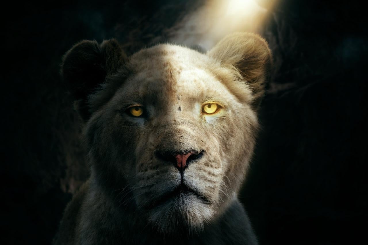 Lion Project Ultimate Light Techniques