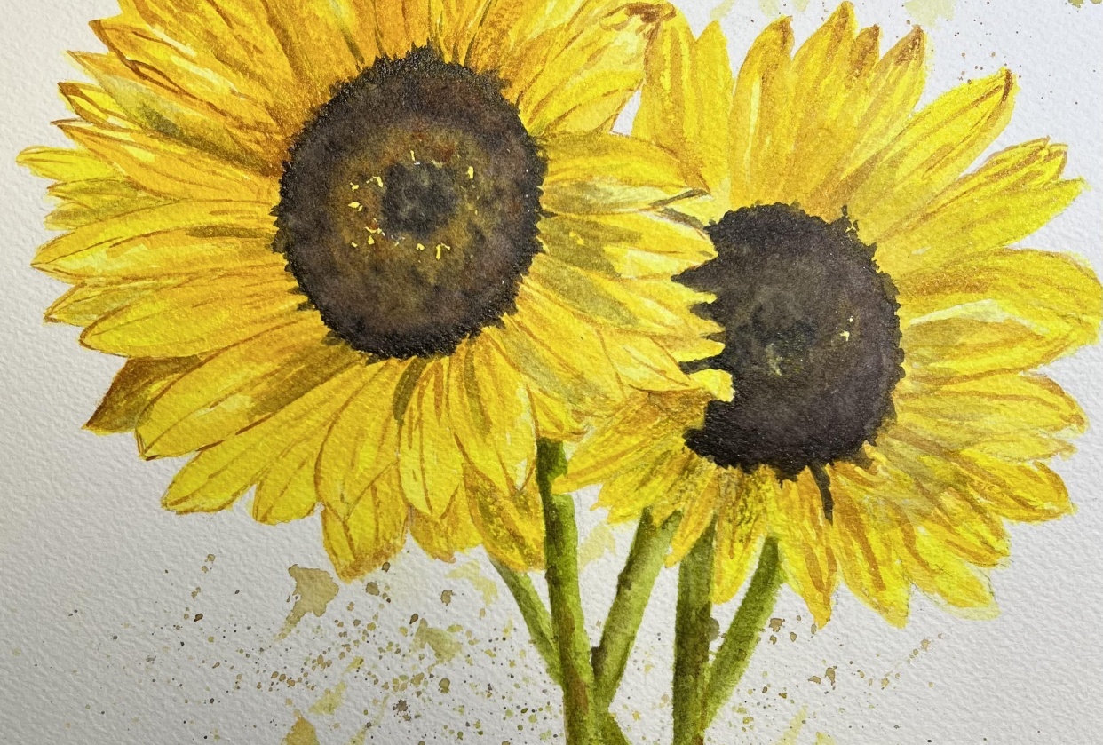 Sunflowers - student project