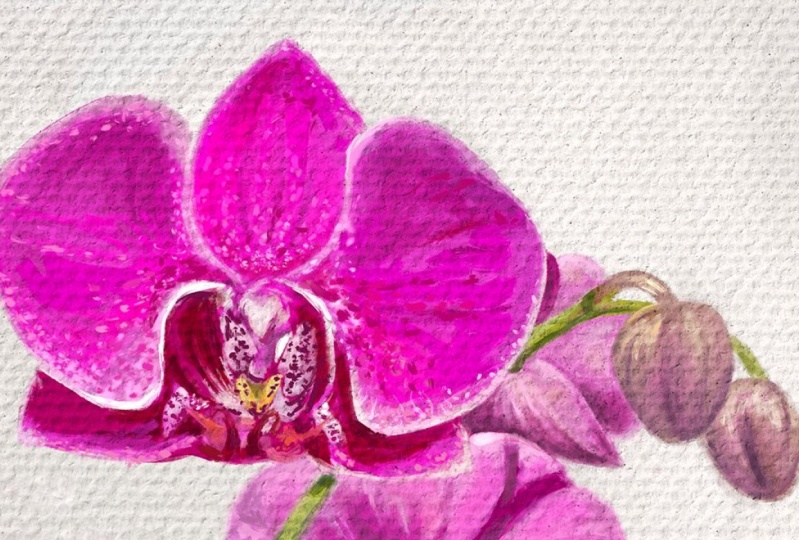 Orchid Oil Painting