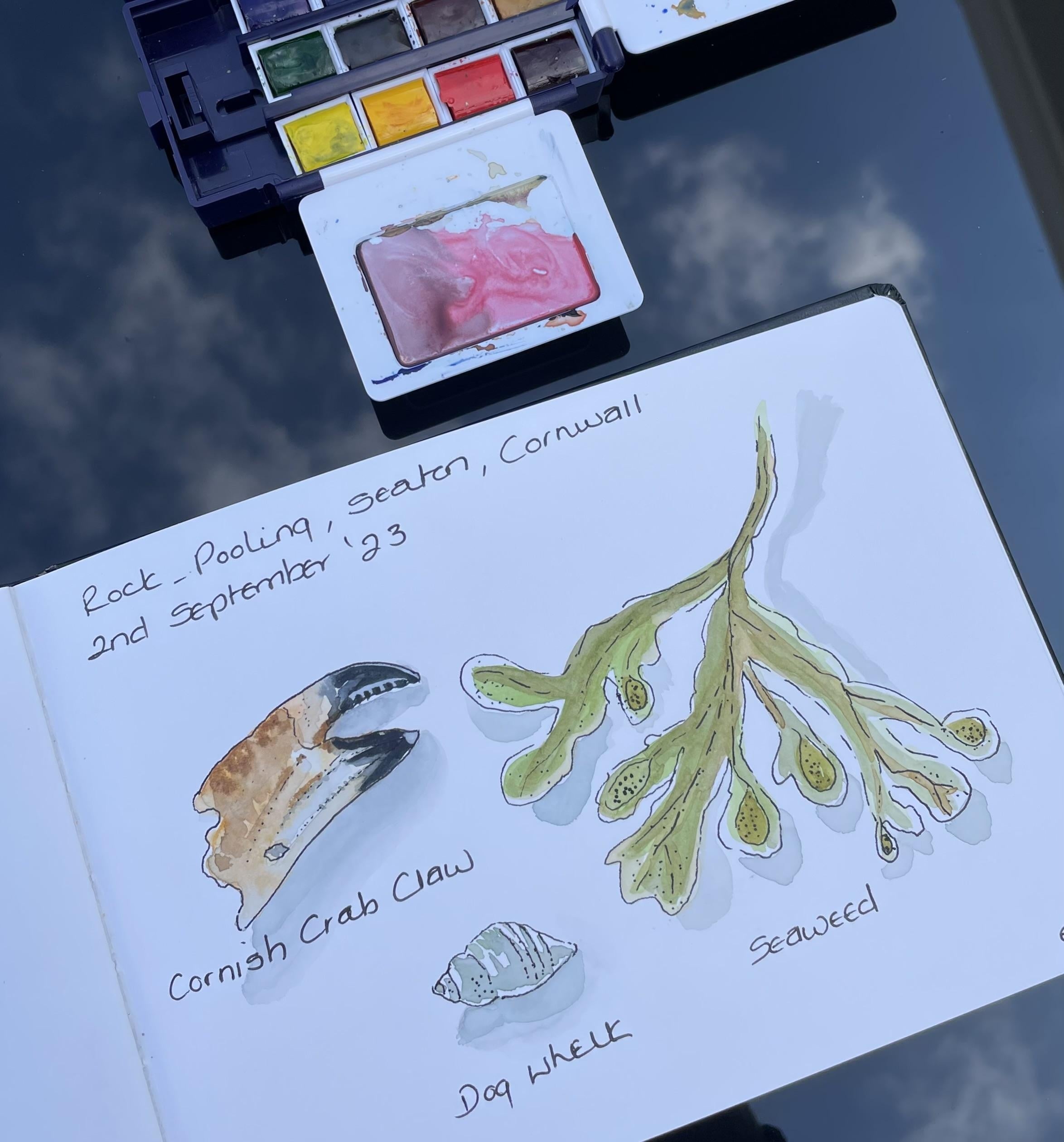 more-projects-from-class-img