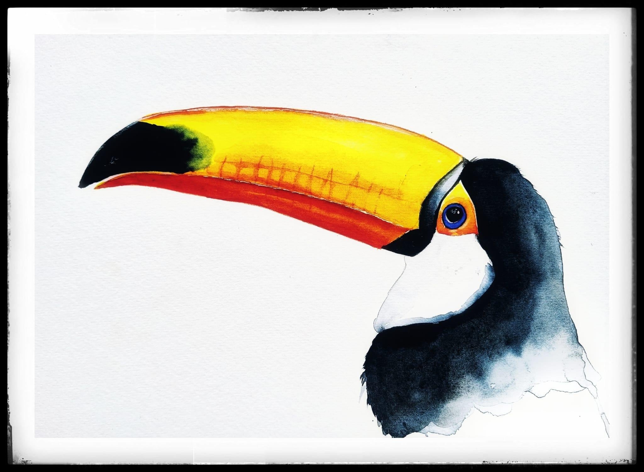 Toucan - student project