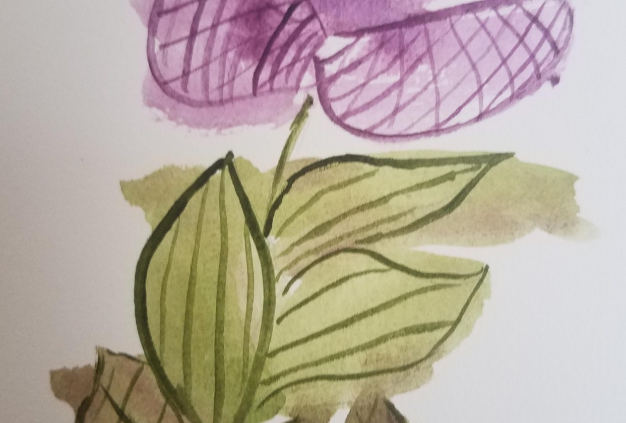 Hatching abstract flowers - student project