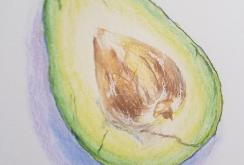 Colored pencil avocado