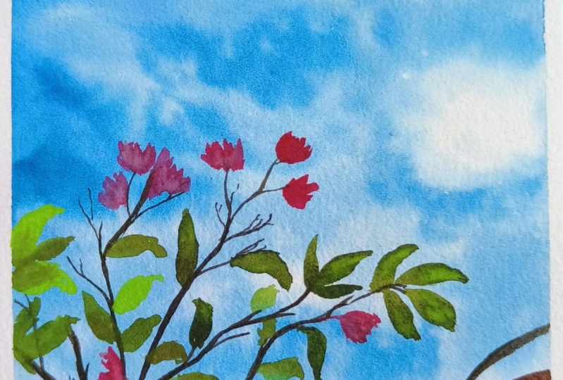 Blue skies