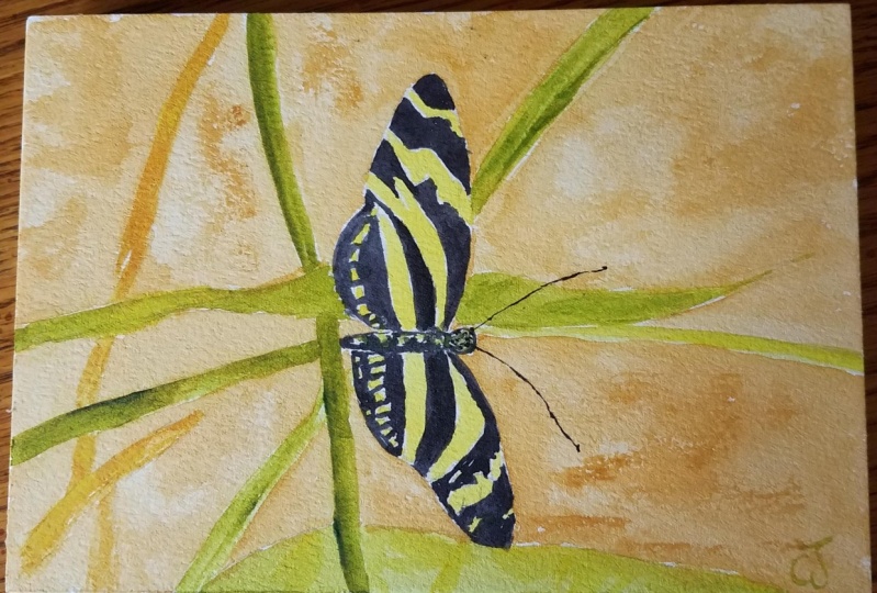 Miracle butterfly