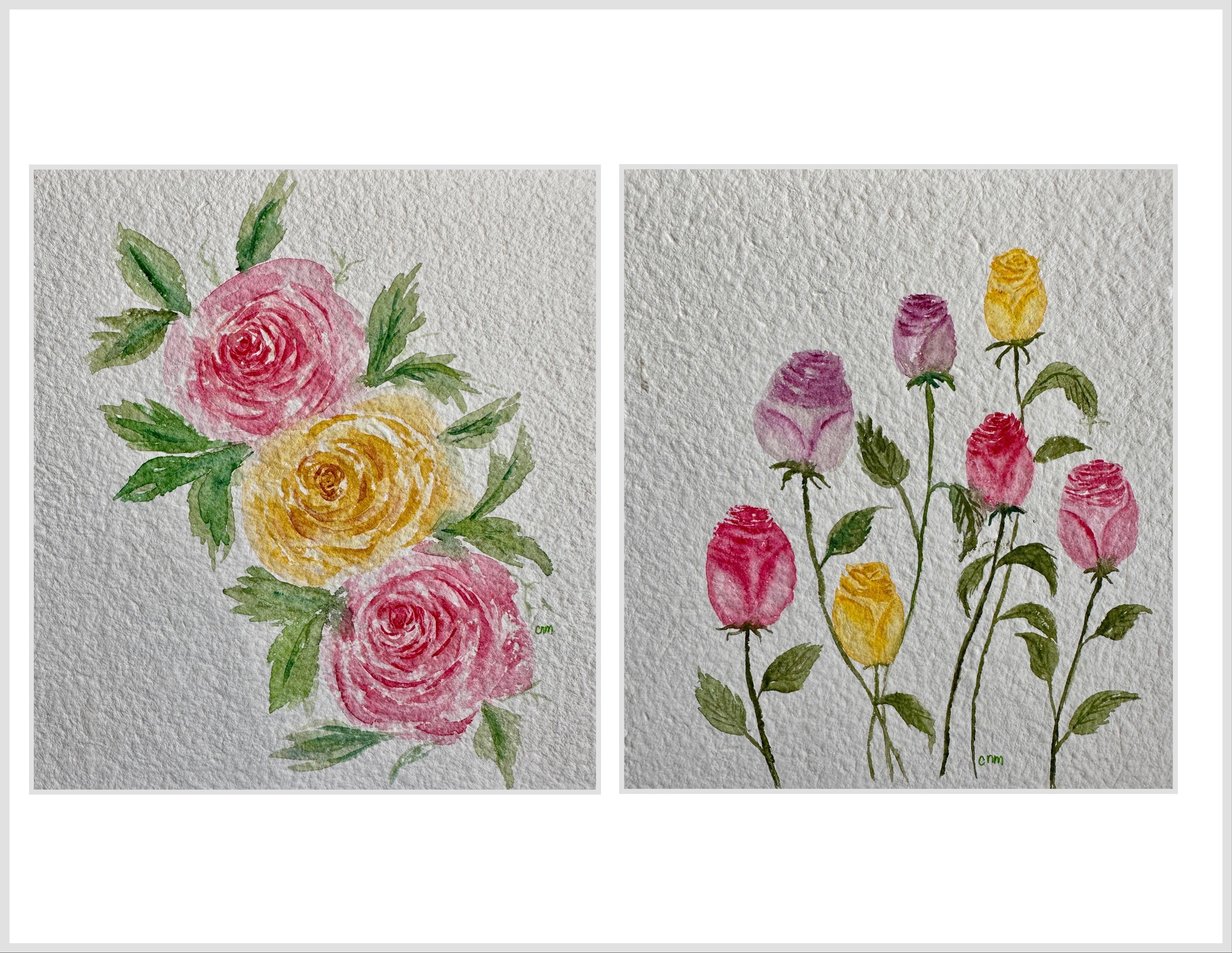 Roses - student project