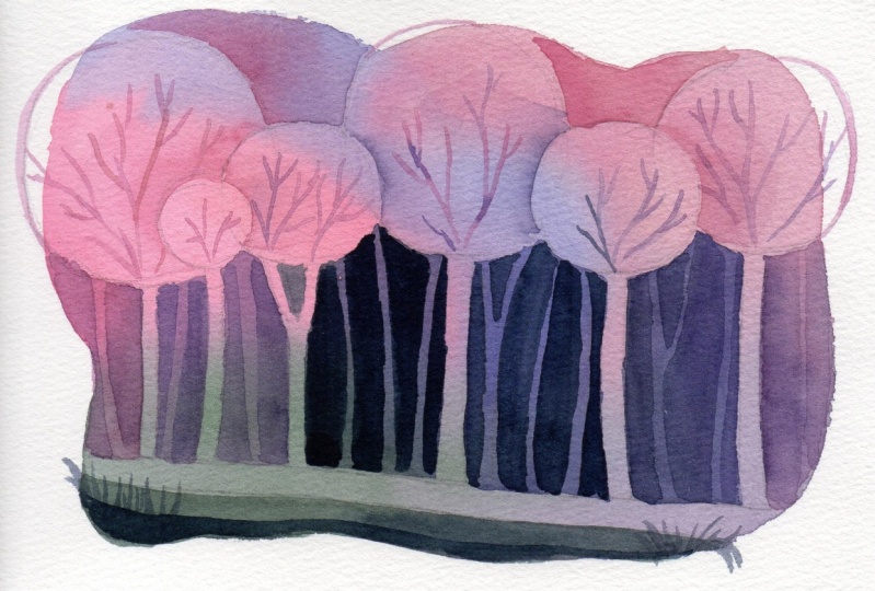 Enchanted Forest