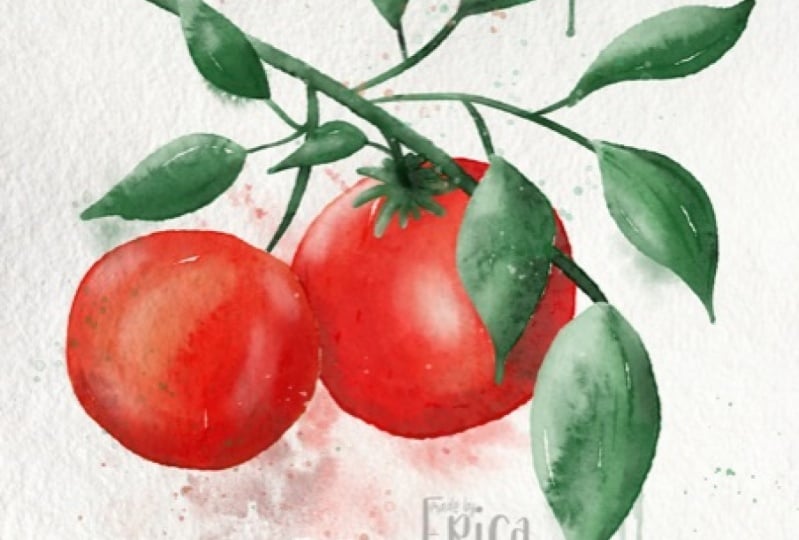 Tomatoes