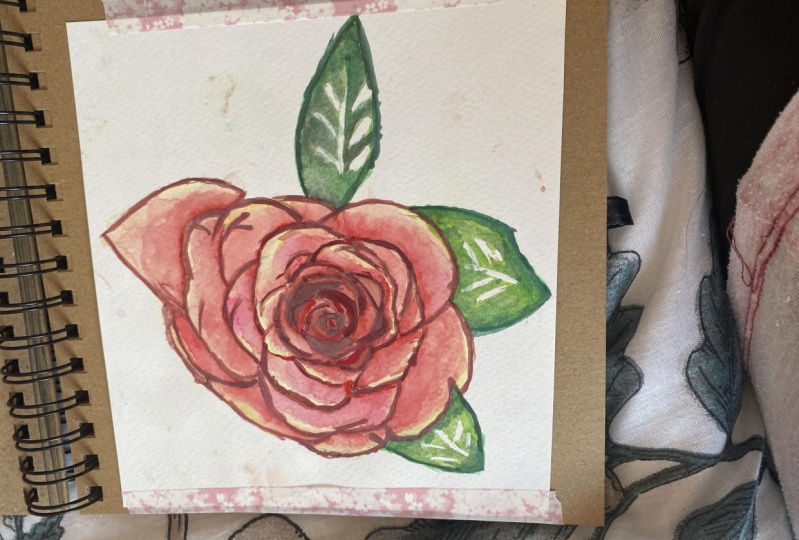 Watercolour rose