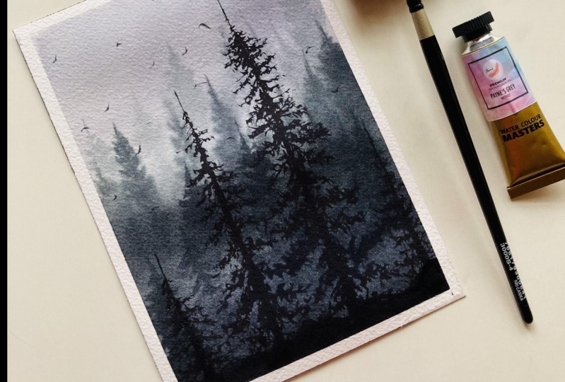 Misty forest