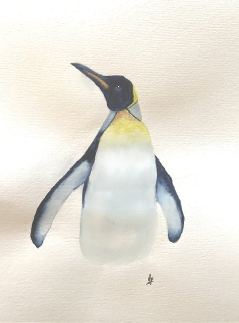 King penguin