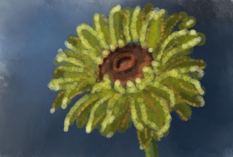 Guache sunflower