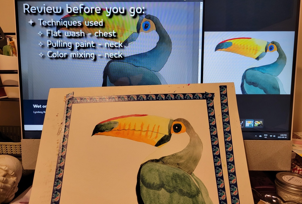 Tara's Toucan - student project