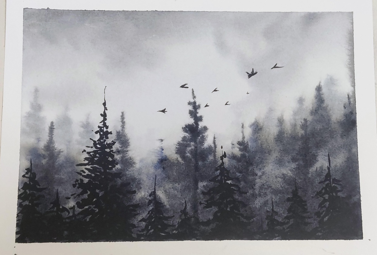 Misty forestscape - student project