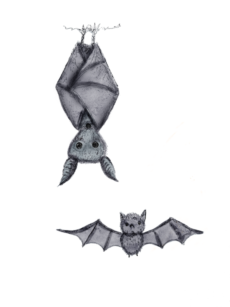 more-projects-from-class-img