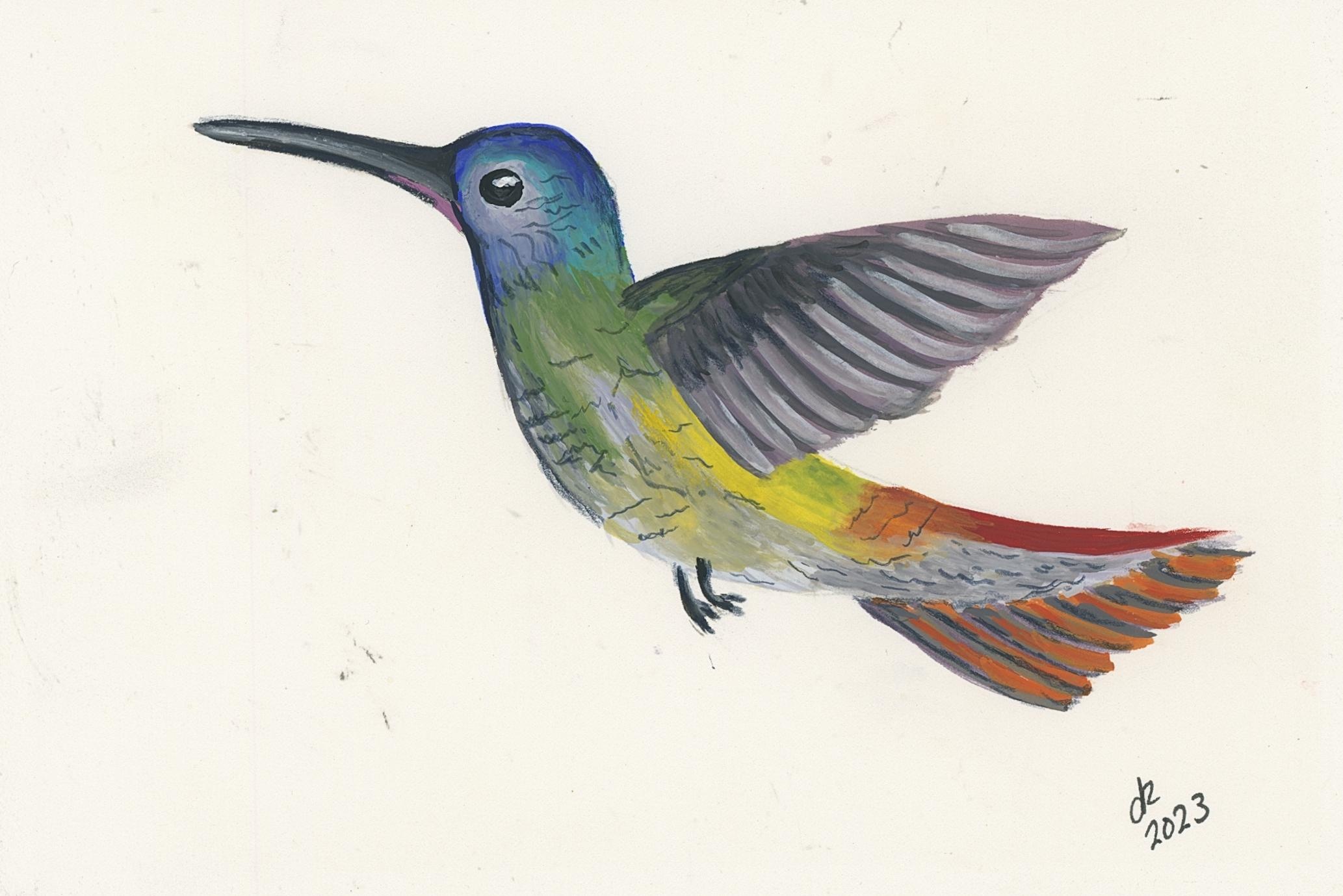 Hummingbird - student project