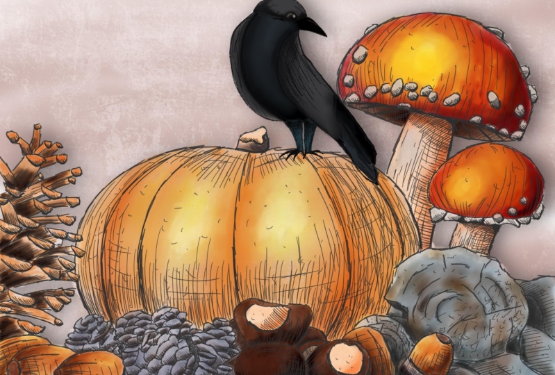 Pumpkin time