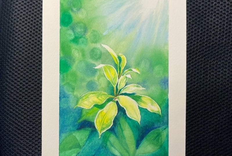 Light from above