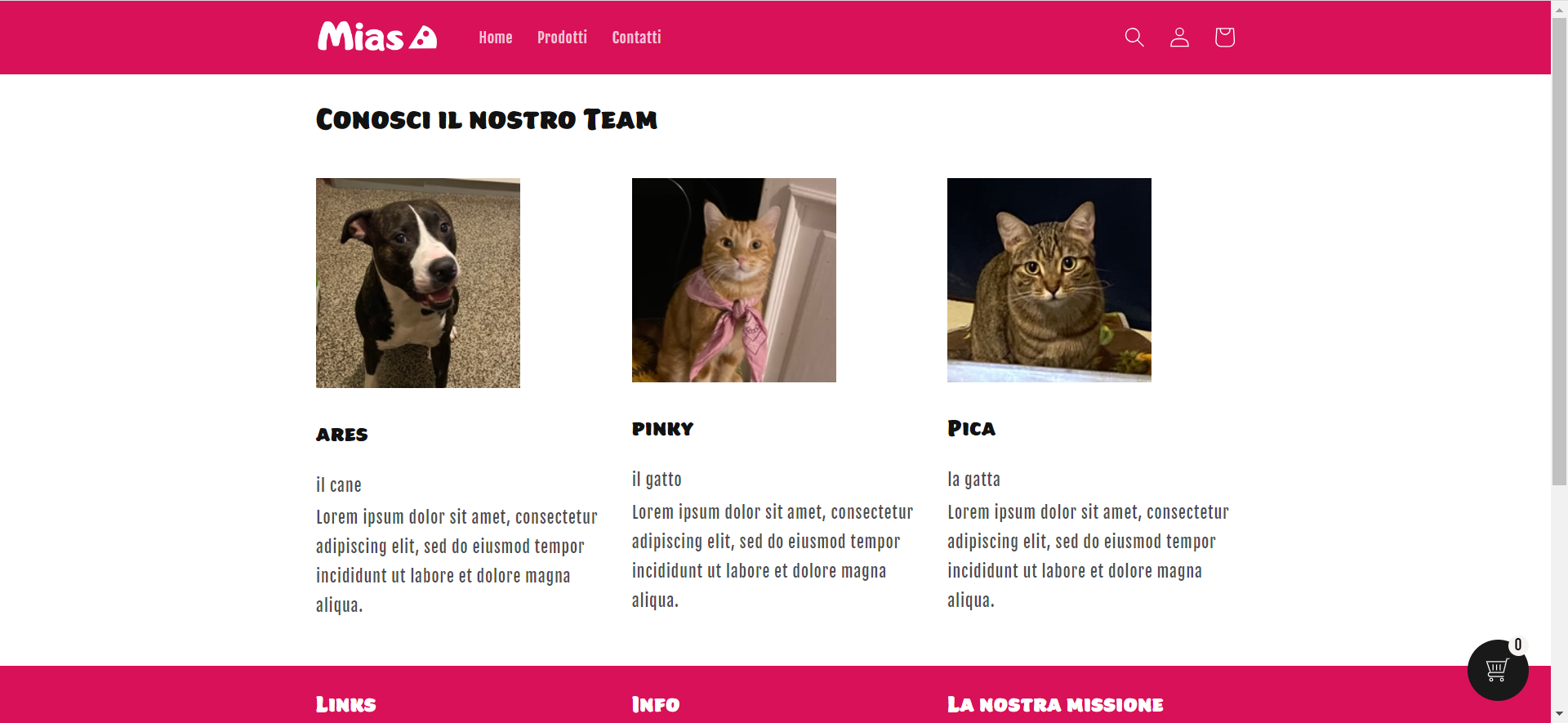 more-projects-from-class-img