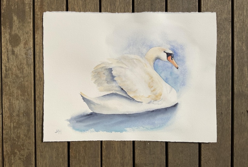 White Swan