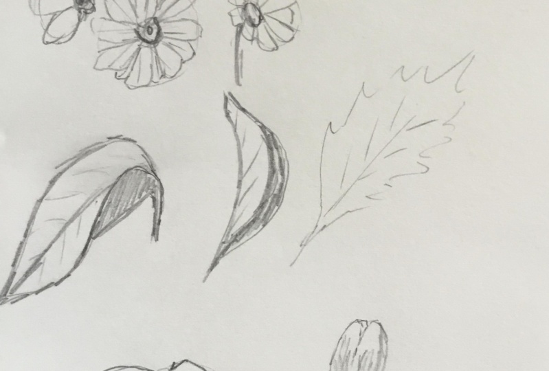 Sketching Flowers Understand How To Draw Flowers Facing Different