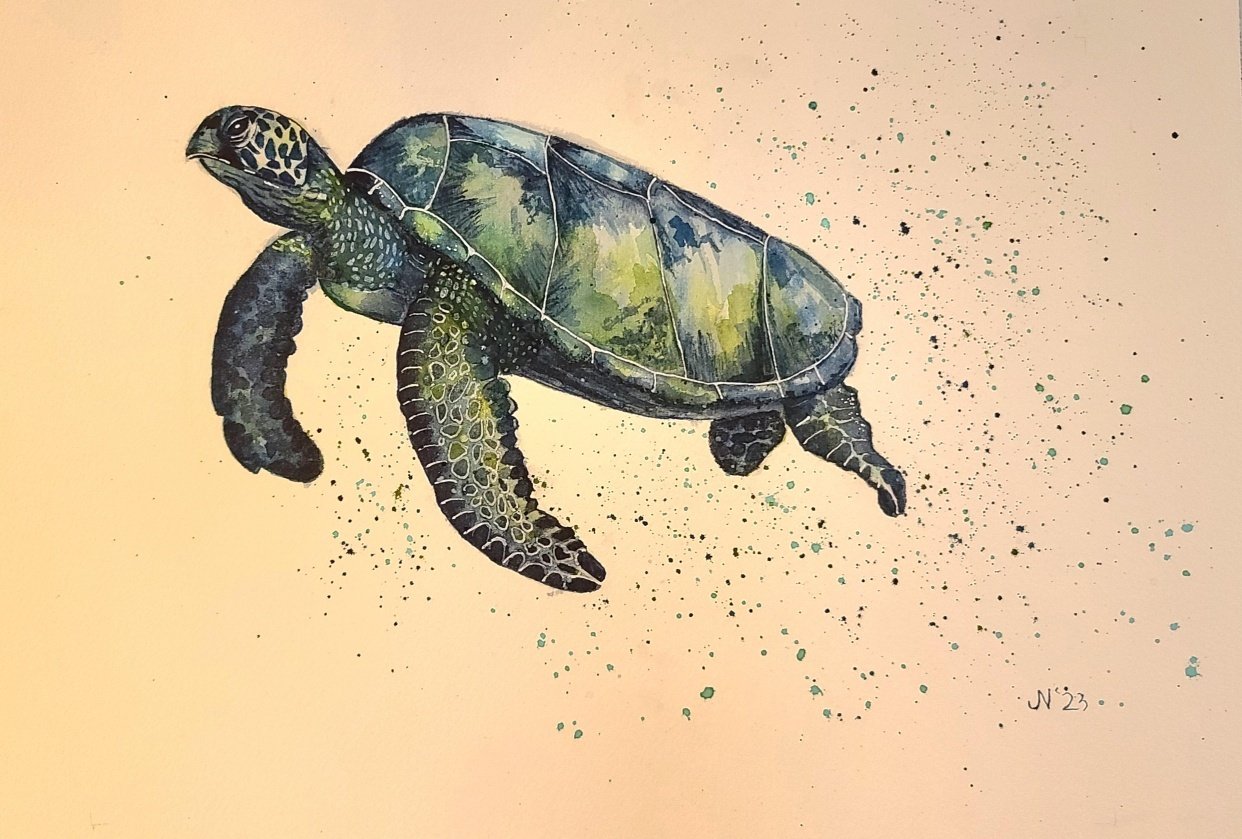 Sea turtle #2 - student project