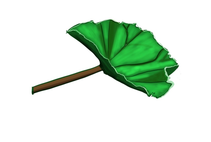 Practise leaf in procreate