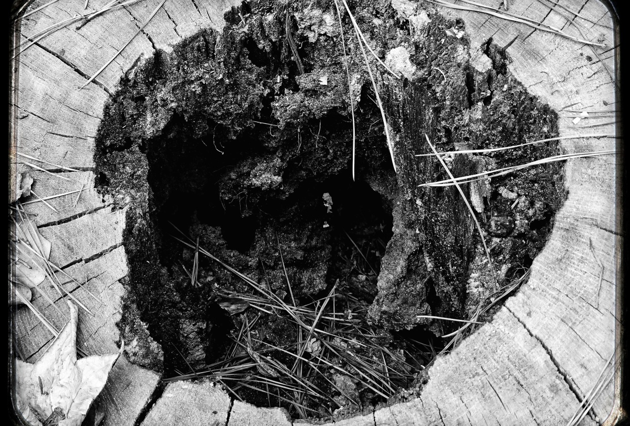 Black Hole - student project