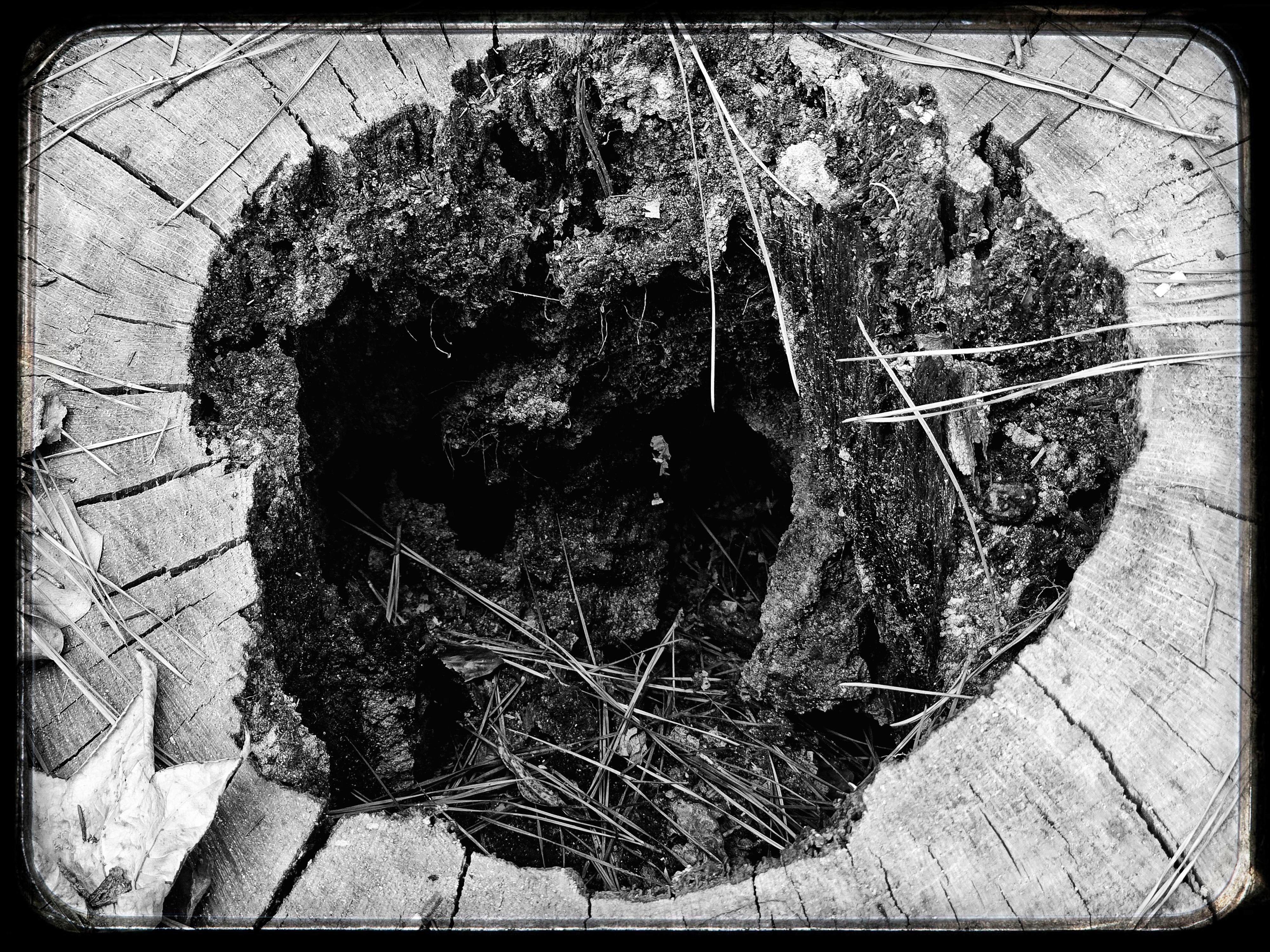 Black Hole - student project