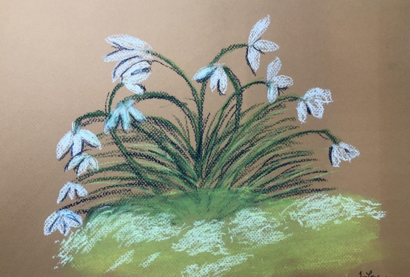 Snow drops