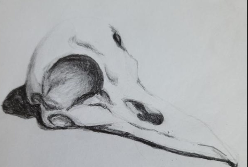 DBurton - Level Up Your Drawing Step-by-Step